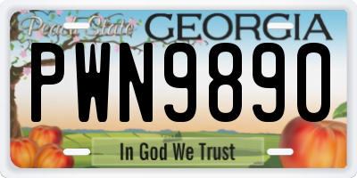 GA license plate PWN9890