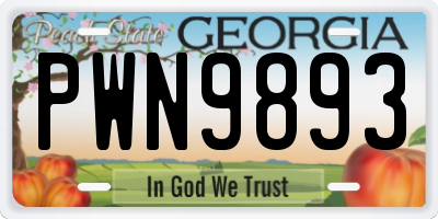 GA license plate PWN9893