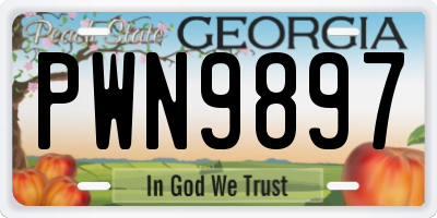 GA license plate PWN9897