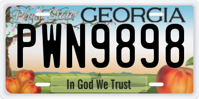 GA license plate PWN9898
