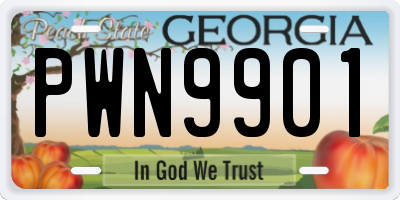 GA license plate PWN9901