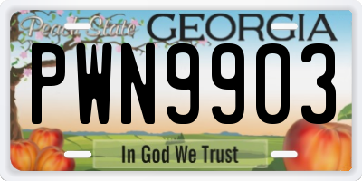 GA license plate PWN9903