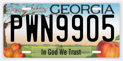 GA license plate PWN9905