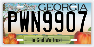 GA license plate PWN9907