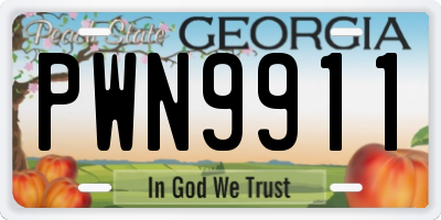 GA license plate PWN9911