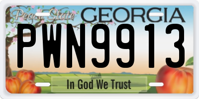 GA license plate PWN9913