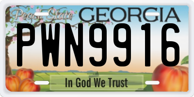 GA license plate PWN9916