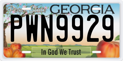 GA license plate PWN9929