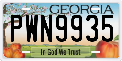 GA license plate PWN9935