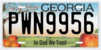GA license plate PWN9956