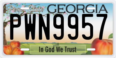 GA license plate PWN9957