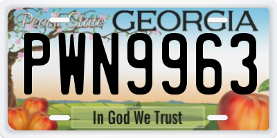 GA license plate PWN9963