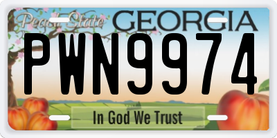 GA license plate PWN9974