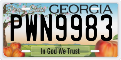GA license plate PWN9983
