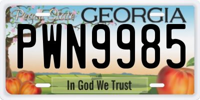 GA license plate PWN9985
