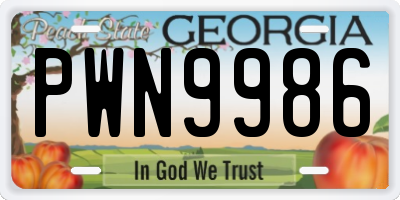 GA license plate PWN9986