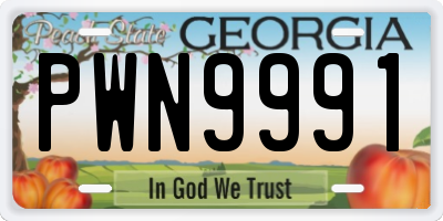 GA license plate PWN9991