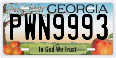 GA license plate PWN9993