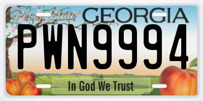 GA license plate PWN9994