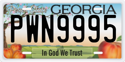 GA license plate PWN9995