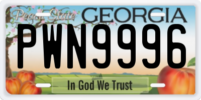 GA license plate PWN9996