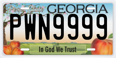 GA license plate PWN9999
