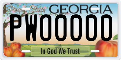 GA license plate PWO0000