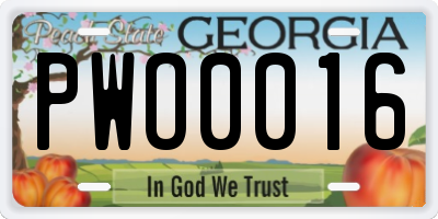 GA license plate PWO0016