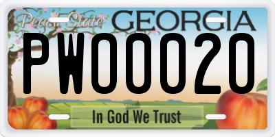 GA license plate PWO0020