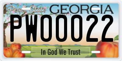 GA license plate PWO0022