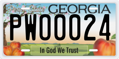 GA license plate PWO0024
