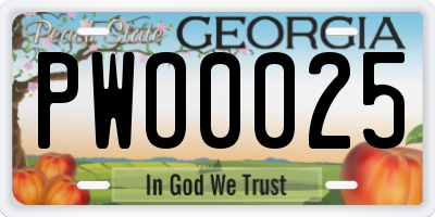GA license plate PWO0025