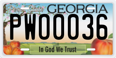 GA license plate PWO0036