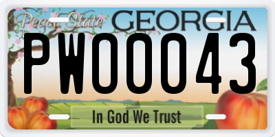 GA license plate PWO0043