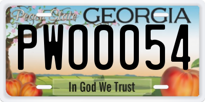 GA license plate PWO0054