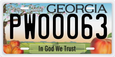 GA license plate PWO0063