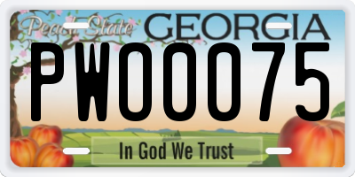 GA license plate PWO0075