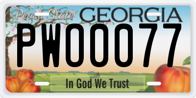 GA license plate PWO0077