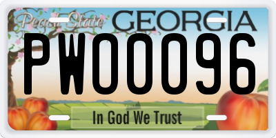 GA license plate PWO0096