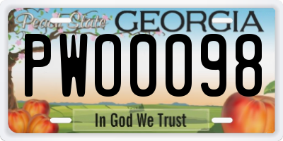 GA license plate PWO0098