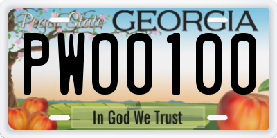 GA license plate PWO0100