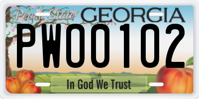 GA license plate PWO0102