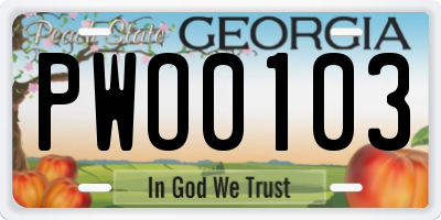 GA license plate PWO0103