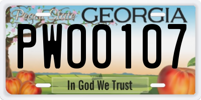 GA license plate PWO0107