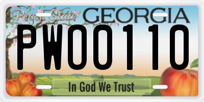 GA license plate PWO0110