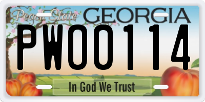 GA license plate PWO0114