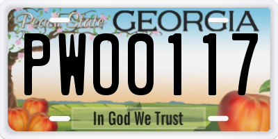 GA license plate PWO0117