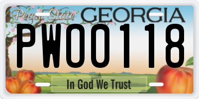 GA license plate PWO0118
