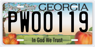 GA license plate PWO0119