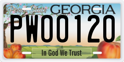 GA license plate PWO0120